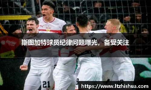 星空·综合体育中国官网