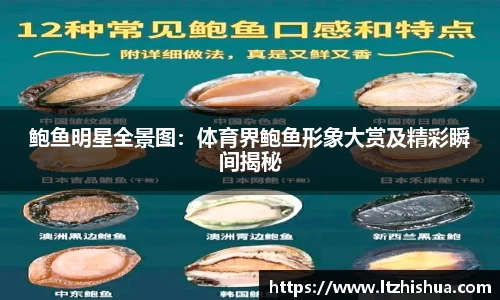 星空·综合体育中国官网