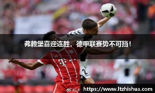 星空·综合体育中国官网