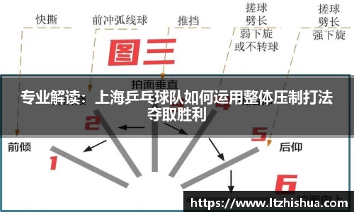 星空·综合体育中国官网