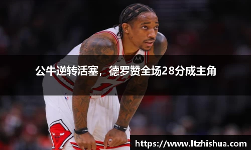 星空·综合体育官方网站