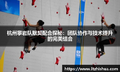 星空·综合体育官方网站