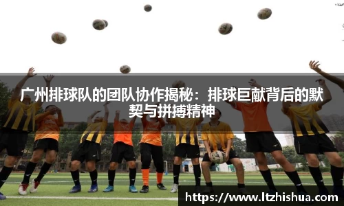 星空·综合体育中国官网