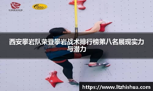 星空·综合体育官方网站