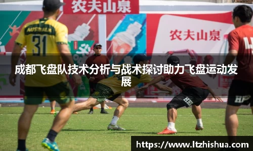 星空·综合体育官方网站