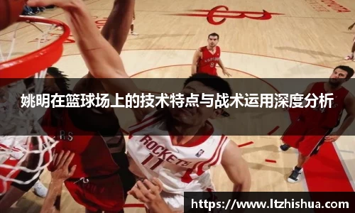 姚明在篮球场上的技术特点与战术运用深度分析