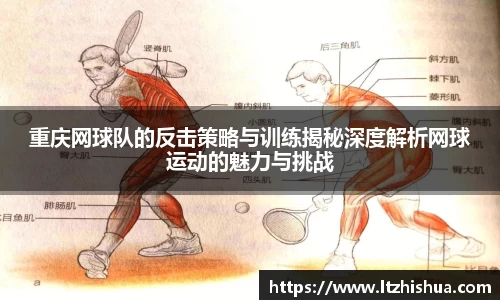 星空·综合体育官方网站