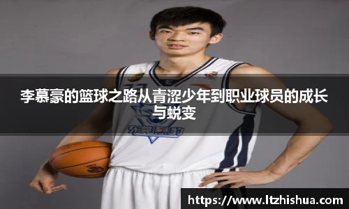 星空·综合体育官方网站
